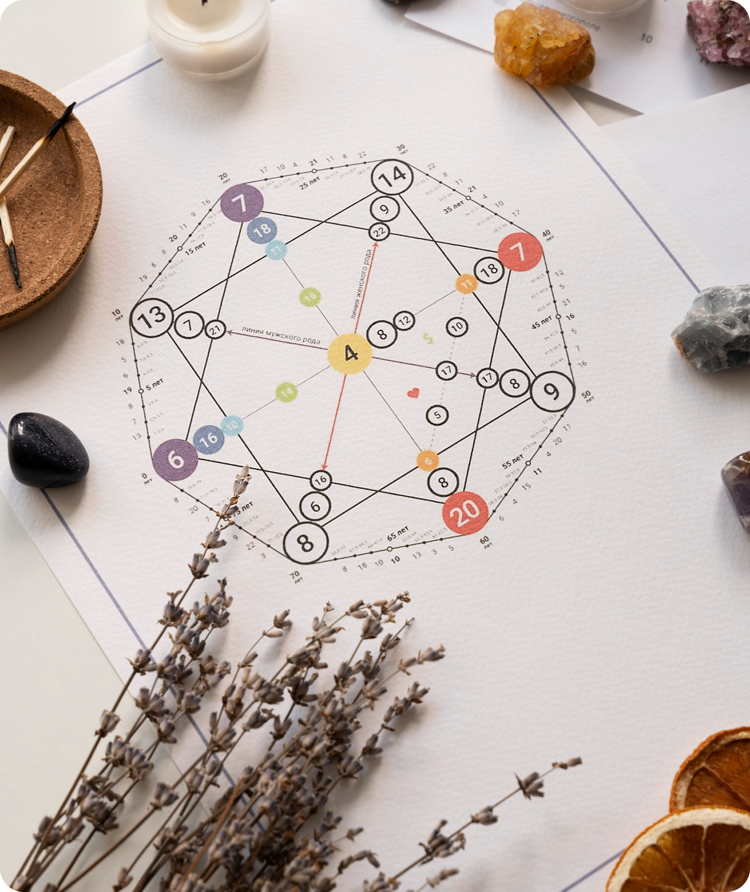 Vedic Astrology